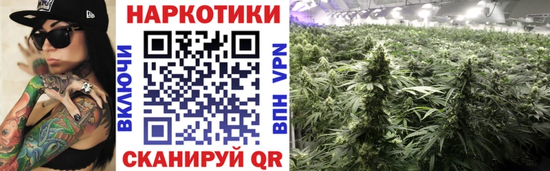 Купить закладку Александровское МАРИХУАНА  АМФЕТАМИН  Гашиш  Меф 