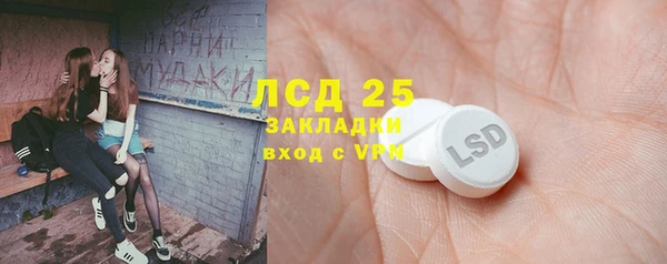 гашик Коряжма