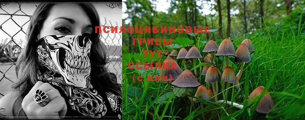 гашик Коряжма