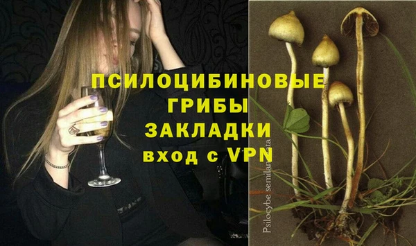 гашик Коряжма