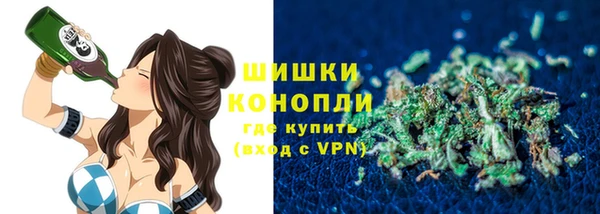 гашик Коряжма
