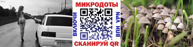 Галлюциногенные грибы Psilocybine cubensis  Александровское 