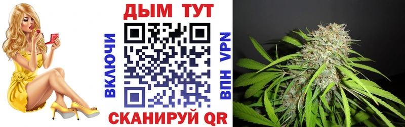 Шишки марихуана семена  купить  цена  blacksprut ссылка  Александровское 